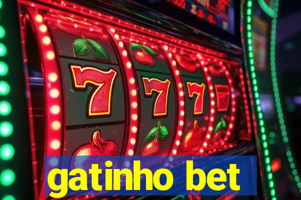 gatinho bet